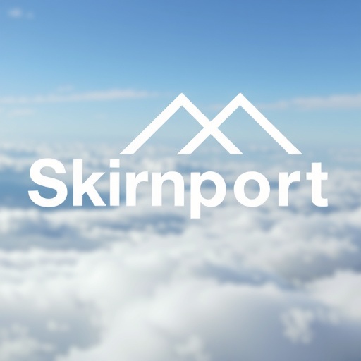 SkirnPort Logo